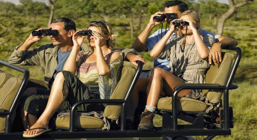 Guided wildlife watch