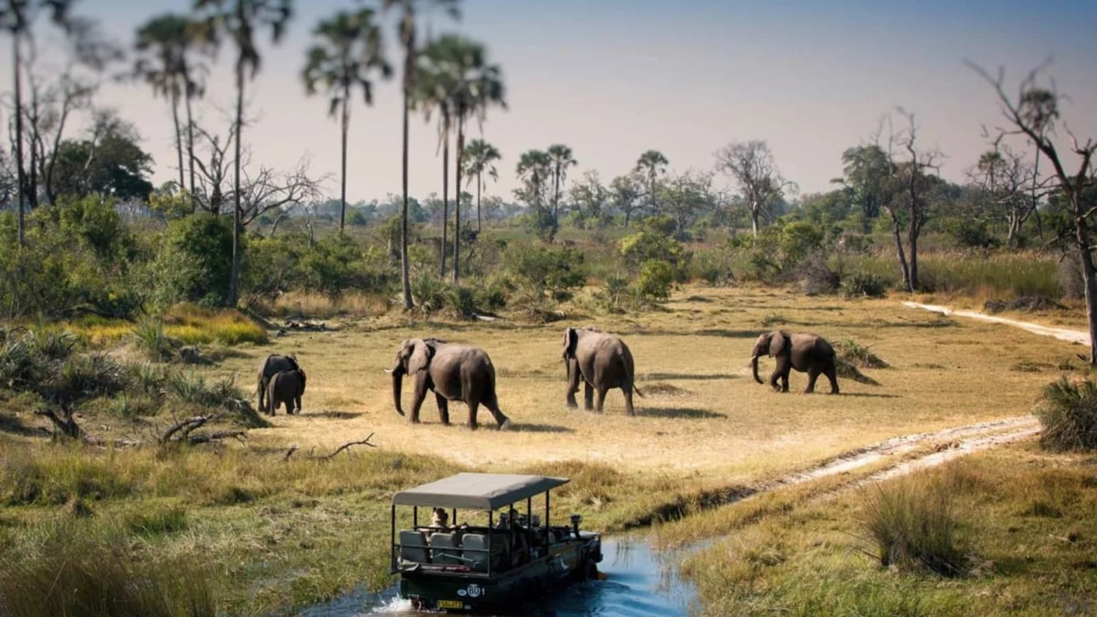 chobe
