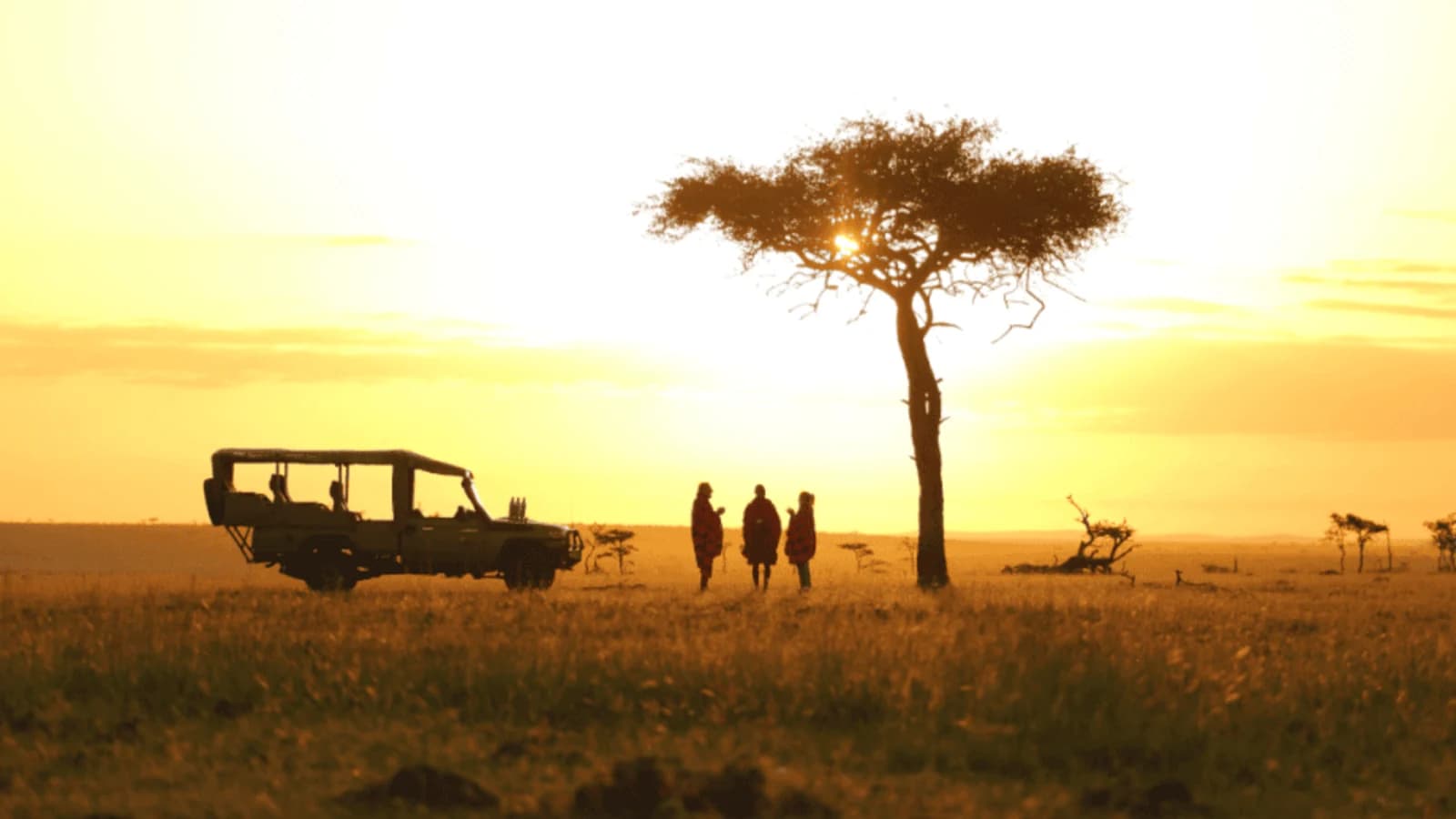 Leopard Hill Savanna & Stars