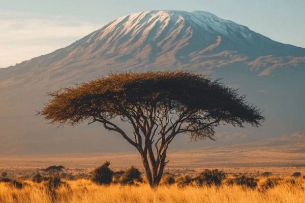 Skywide Tours & Travel