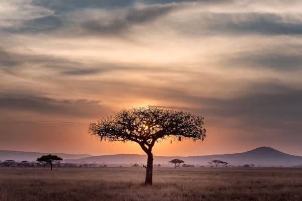 okavango-delta