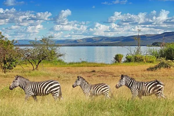Akagera National Park