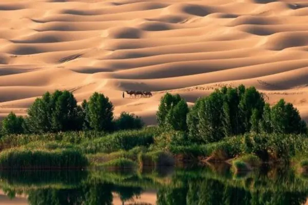 Masak Staff – The Eternal Desert Panel