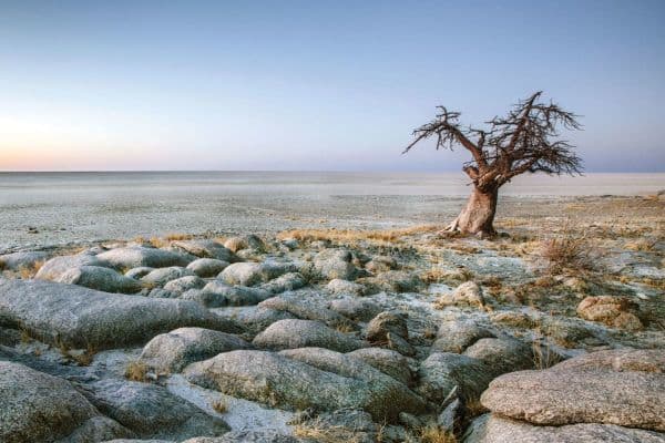 Makgadikgadi Pans Game Reserve
