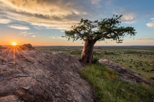 Northern Tuli Game Reserve