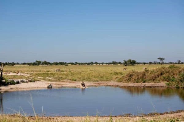 Khutse Game Reserve