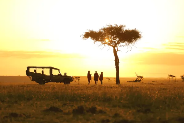 Leopard Hill Savanna & Stars
