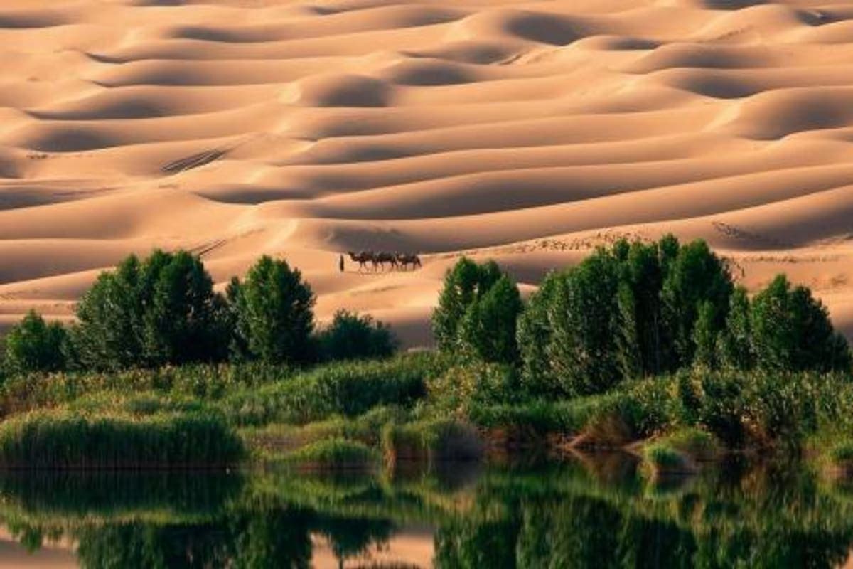 Masak Staf – The Eternal Desert Canvas - photo 3
