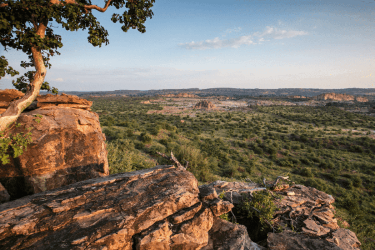 northern-tuli-game-reserve - photo 3