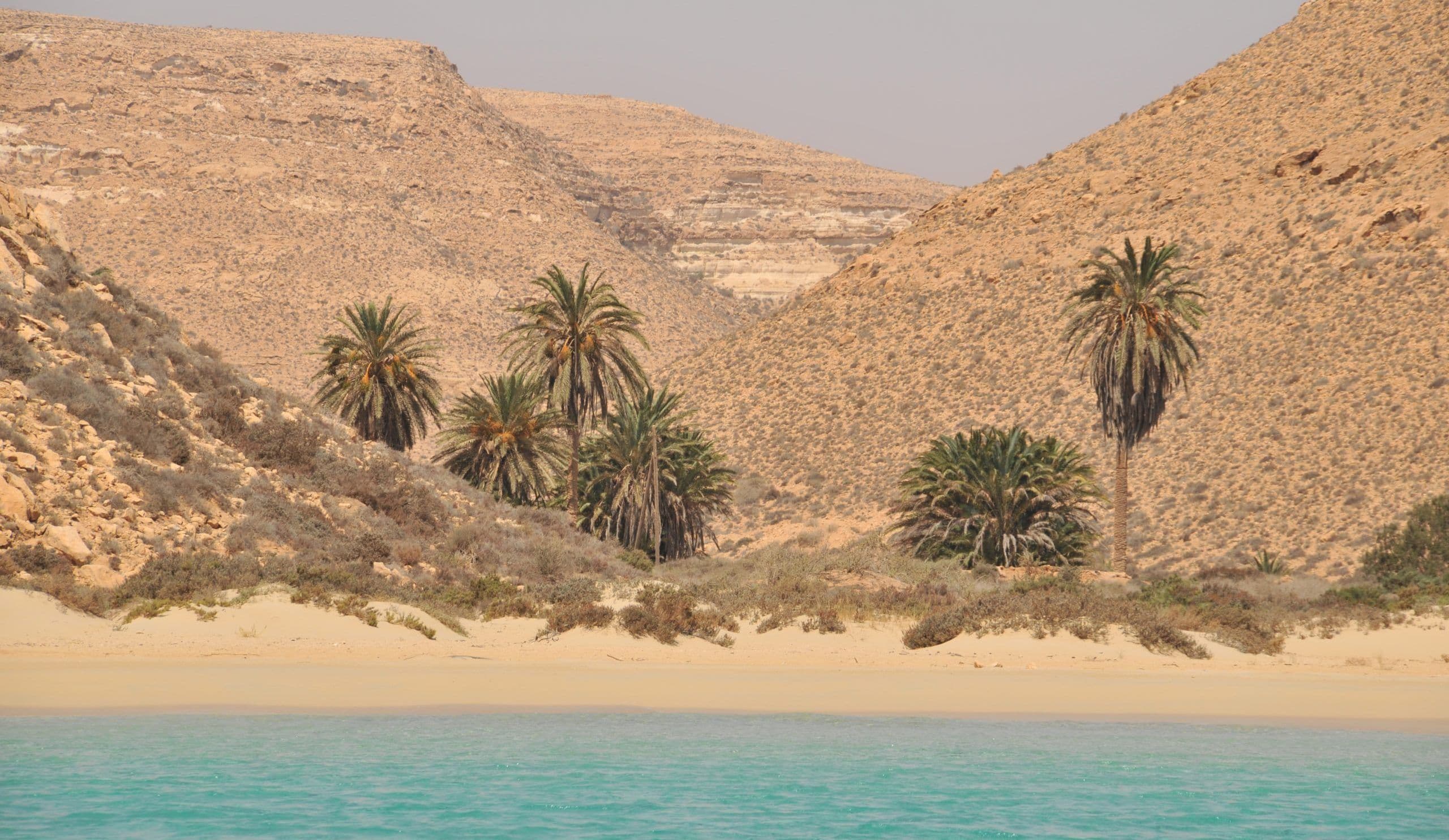 Papyrus... Bays Painting the Scene